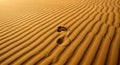 Golden sand dunes with undulating, parallel ridges create a textured landscape. A single, human-like Royalty Free Stock Photo