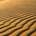 Golden sand dunes with undulating, ripple patterns create a mesmerizing texture Royalty Free Stock Photo