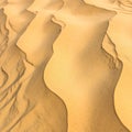 Golden Sand Dunes with Wavy Pattern in Desert Landscape Under Bright Sunlight Royalty Free Stock Photo