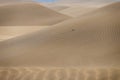 Golden Sand Dunes Wind Pattern