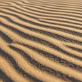 Golden sand with fine parallel ripples creates a striped pattern Royalty Free Stock Photo