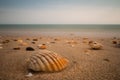 The Algarve Coast with the beautiful beaches, orange rugged cliffs and turquoise water.