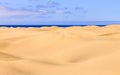 Golden sand horizons