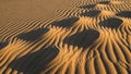 Golden sand with intricate ripple patterns shaped by the wind Royalty Free Stock Photo