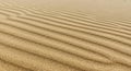 Golden sand with parallel ripples shaped by the wind covers the entire image. The Royalty Free Stock Photo