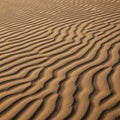 Smooth, wavy lines form parallel ridges, a result of wind shaping the fine Royalty Free Stock Photo