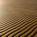 Texture of the fine sand is smooth, with a slightly warm tone that Royalty Free Stock Photo