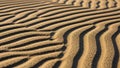 Wind carved grooves and ridges demonstrate the natural interplay Royalty Free Stock Photo