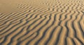 Golden sand ripples create a striking pattern, each wave-like ridge casting a shadow Royalty Free Stock Photo