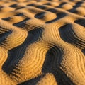 Focuses on the rhythmic repetition of the sandy waves, emphasizing Royalty Free Stock Photo
