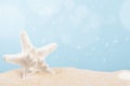 Golden sand of seashore with white starfish background. Warm summer backdrop. Empty copy space for creative design and text. Royalty Free Stock Photo