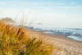 Golden sand sedge dune vegetation and long beach view Papamoa Royalty Free Stock Photo