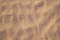 Golden sand texture