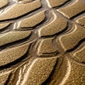 And complexities of the sand s surface highlighting its unique beauty Royalty Free Stock Photo