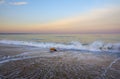 Golden Sands beach, Bulgaria Royalty Free Stock Photo