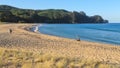 The golden sands of Onemana beach, New Zealand