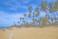 The view of Pantai Jambu Bongkok Beach with coconut trees at Terengganu, Malaysia. Royalty Free Stock Photo
