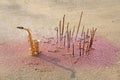 The golden saxophone alto stands on the sand next to the fragrant and pink shining. Romantic musical background. Musical cover, c