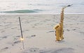 The golden saxophone alto stands on the sand and on the shore, against the background of the sea and Bengal lights. Romantic Royalty Free Stock Photo