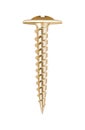 Realistic Screw Illustration