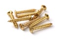 Golden screws Royalty Free Stock Photo