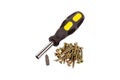 Golden screws and screwdriver Royalty Free Stock Photo