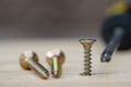 Golden screws screwed into wooden plank and screwdriver Royalty Free Stock Photo