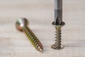 Golden screws screwed into wooden plank and screwdriver Royalty Free Stock Photo