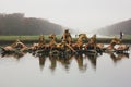 Golden sculptures in a pond in a garden