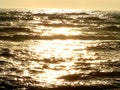 Golden waves