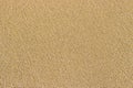 Golden sea sand. Sand texture. Sandy beach for background. Top view Royalty Free Stock Photo