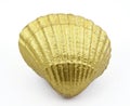 Golden sea shell Royalty Free Stock Photo