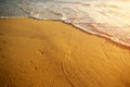 Golden Sea Shore Royalty Free Stock Photo