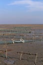 Golden seaweed, the nets in the tidal flat, wetlands in the winter Royalty Free Stock Photo