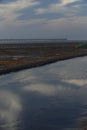 Golden seaweed, the nets in the tidal flat, the world's longest cross-sea bridge - hangzhou bay bridge Royalty Free Stock Photo