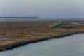 Golden seaweed, the nets in the tidal flat, the world's longest cross-sea bridge - hangzhou bay bridge