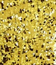 Golden sequins - sequined sequined textile Royalty Free Stock Photo