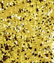 Golden sequins - sequined sequined textile