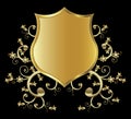 Golden shield Royalty Free Stock Photo