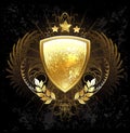 Golden shield Royalty Free Stock Photo