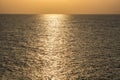 Golden shimmering Sea Water Royalty Free Stock Photo