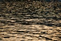 Golden shimmering Seawater at sunset, Background, golden water, waves