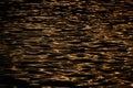 Golden shimmering Seawater at sunset, Background, golden water, waves Royalty Free Stock Photo