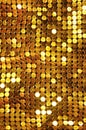 Golden Shining Mesh Royalty Free Stock Photo