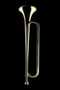 Golden shinny trumpet isolated