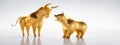 Golden shiny bull and bear - concept stock market Royalty Free Stock Photo