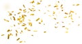 Golden shiny confetti Royalty Free Stock Photo