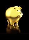 Golden shiny piggy bank on black reflective background