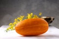 Golden shower flower and yellow cucumber Royalty Free Stock Photo