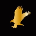 Golden silhouette of eagle isolated on black background. Royalty Free Stock Photo